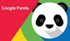 an-phat-google-panda-min